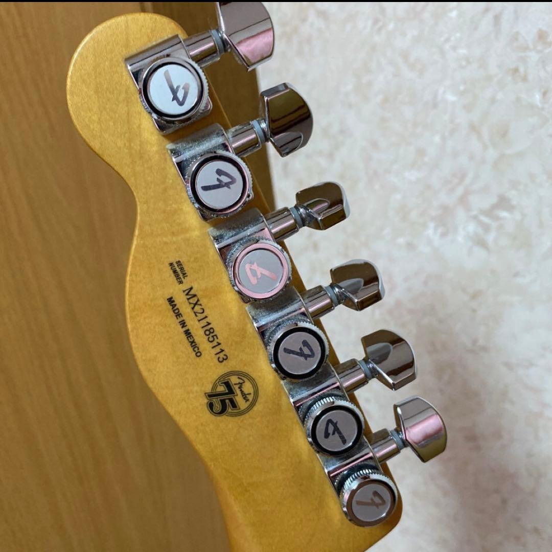 フェンダー プレイヤープラス テレキャスター シルバースモーク