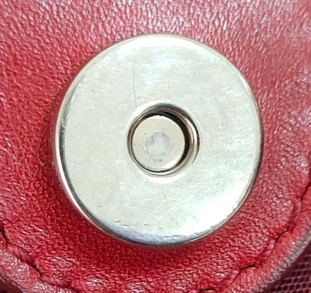 ALW02 クリスチャンディオール カナージュ トートバッグ パナレア Dior