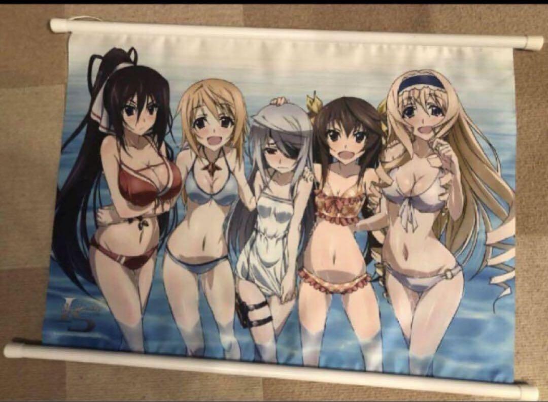 希少品】IS インフィニットストラトス 水着 描き下ろし B2