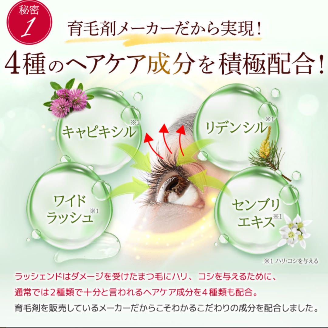 Lashcend ラッシェンド
