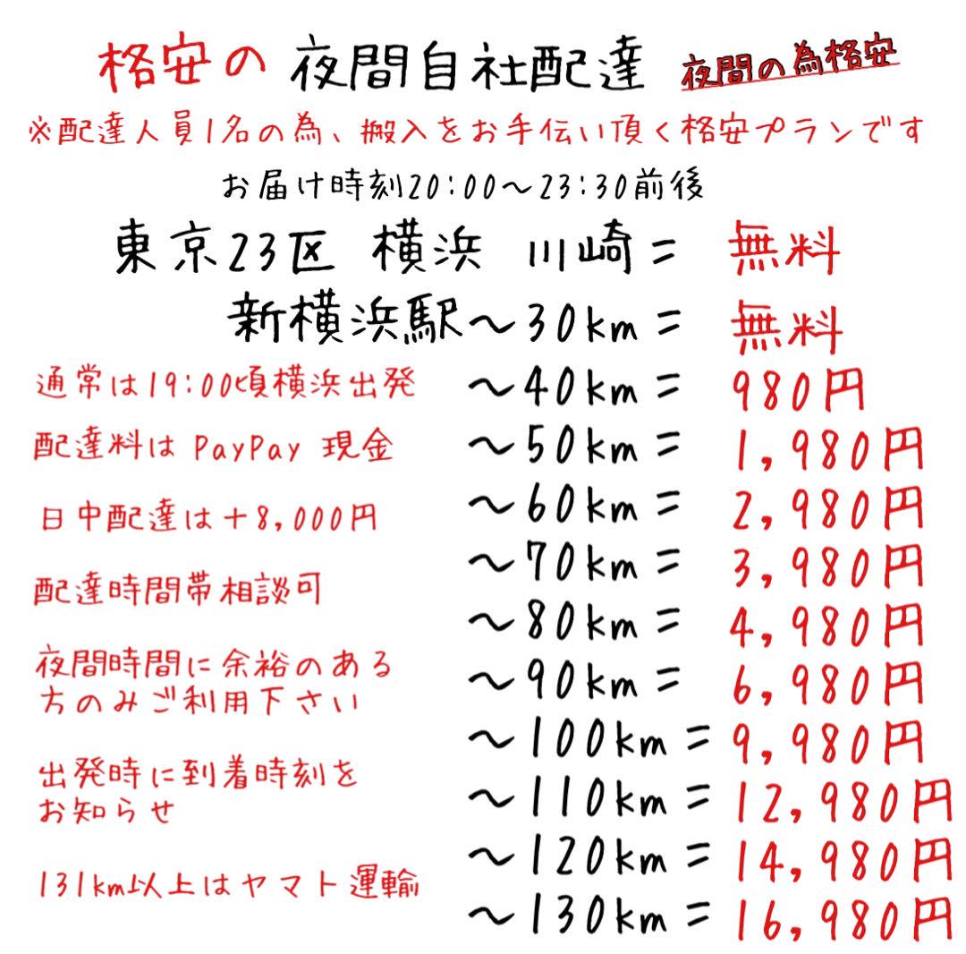 首都圏送無料〜横浜クラシック66万 ダニエルBoot ラブシート+オットマン 画像2