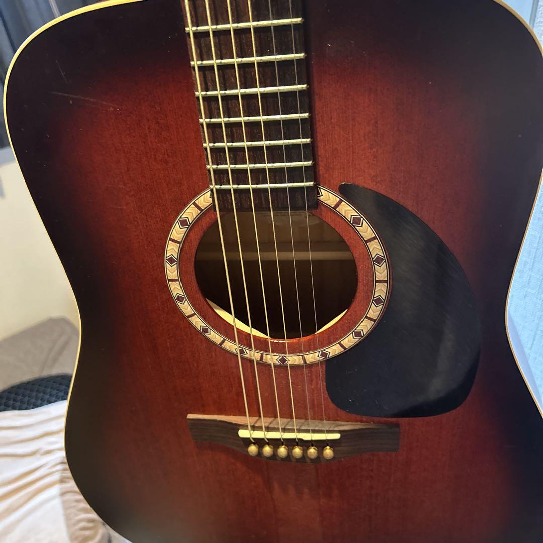 Art & Lutherie アコースティックギター