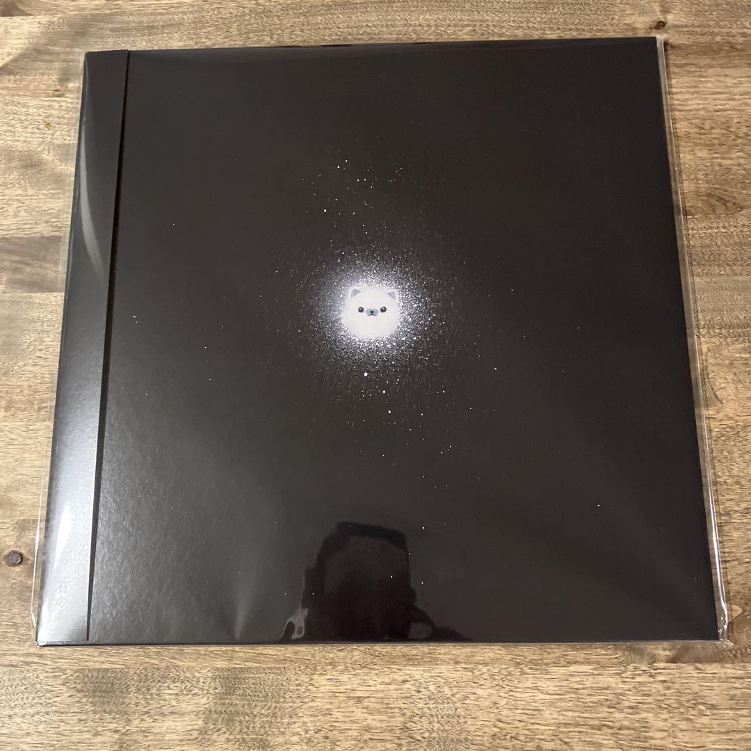 カネコアヤノ 石の糸 kanekoayano LP アナログ盤 新品未開封