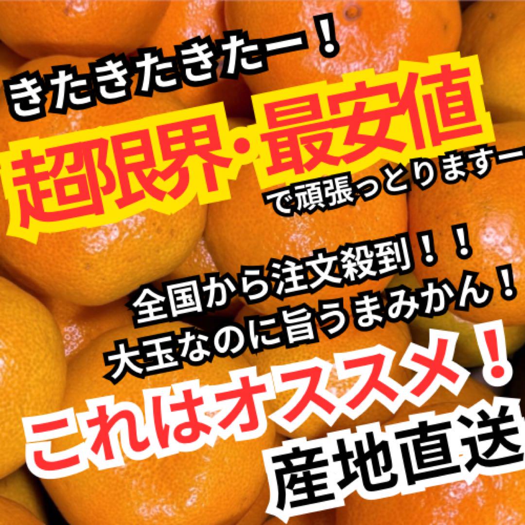 32超激安 特売 高知 特産 山北温室みかん 5kg 大玉なのにうまい