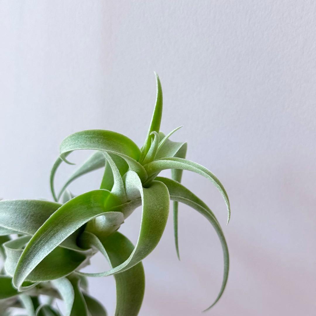 シルバー目立った傷や汚れなし