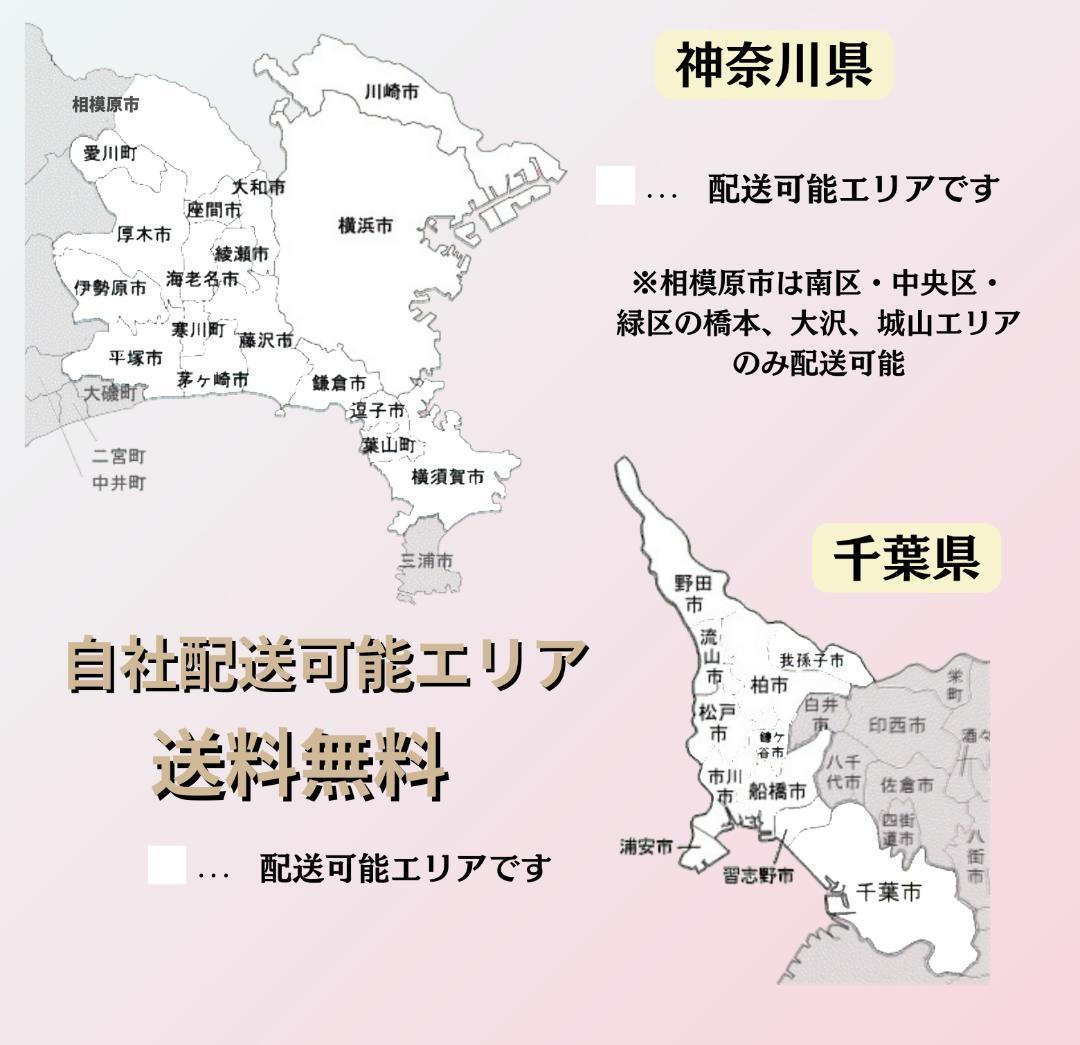 送料無料【１年保証】新品部品　整備士　WR　電動自転車　ヤマハ　pascityC