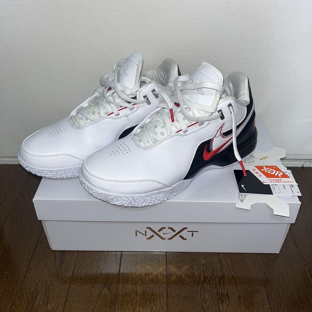 LEBRON NXXT GEN AMPD EP レブロン　ナイキ