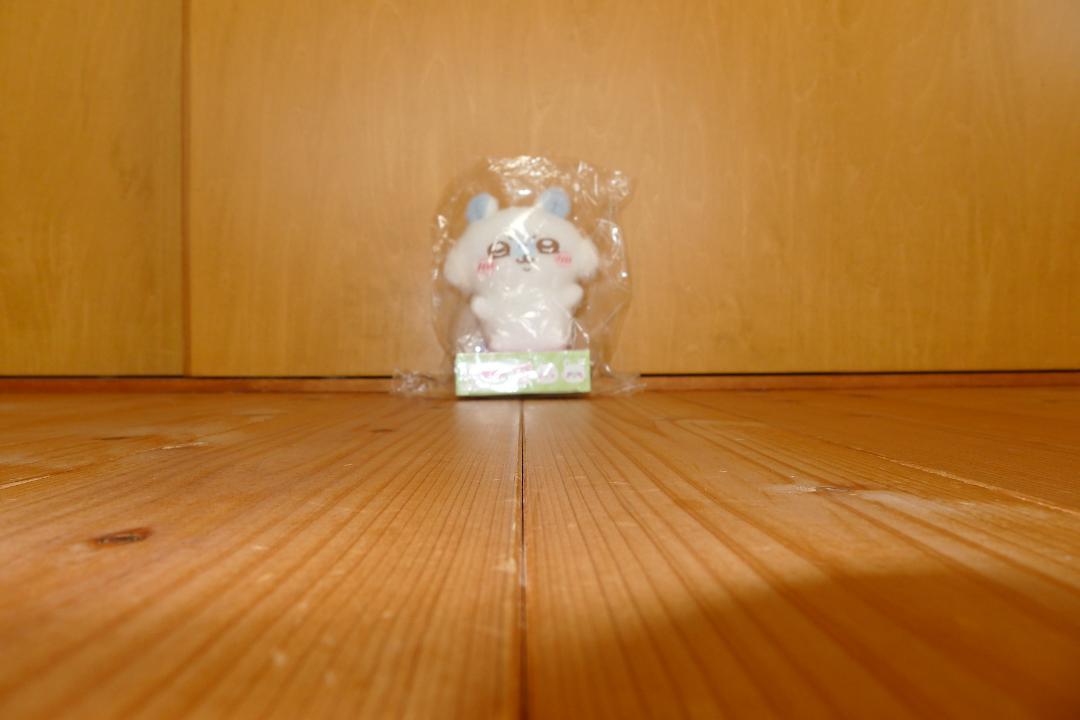ライカ Leica D-LUX 5
