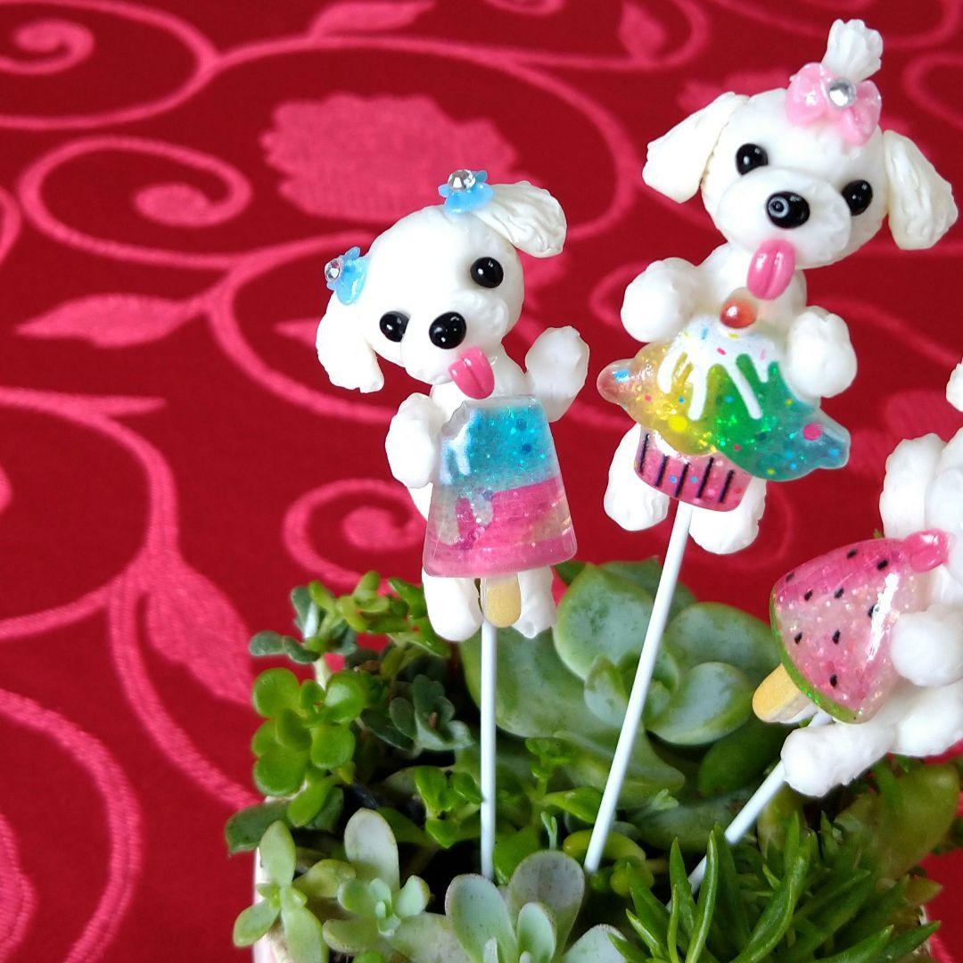 割引価格 ♥キラキラ✨可愛い♥アイス&かき氷大好き♥マルチーズ