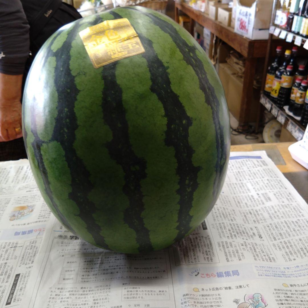 熊本県産　金色羅皇スイカ 約10kg　現品です。