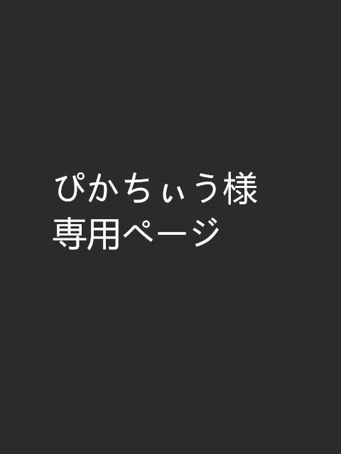 ぴかちぃう様専用ページ