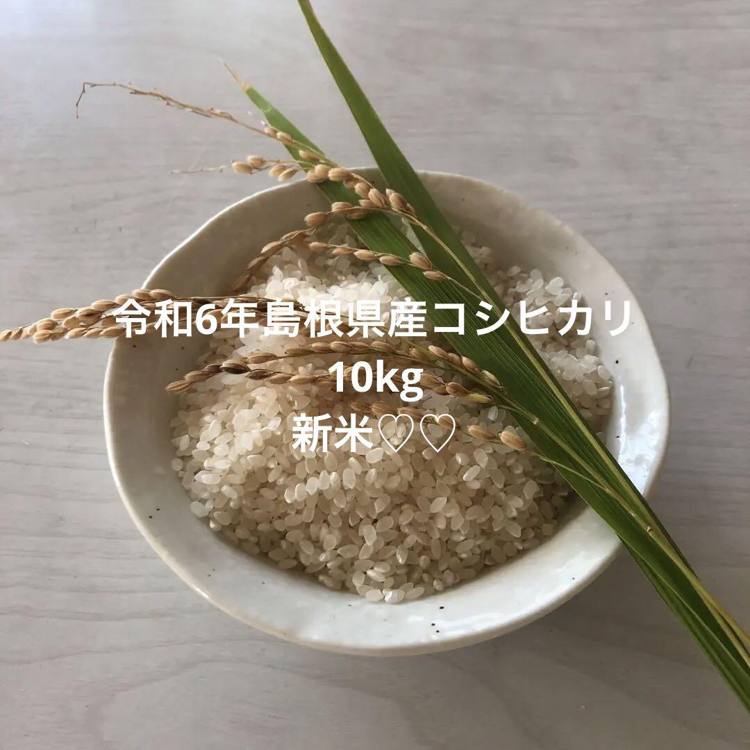 令和6年島根県産コシヒカリ10kg