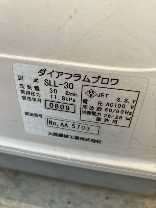 純正卸し売り ダイアフラムブロア エアーポンプ 金魚 メダカ 飼育用 浄化槽 大阪最安値 Ixtapastanwood Com 純正卸し売り ダイアフラムブロア エアーポンプ 金魚 メダカ 飼育用 浄化槽 大阪最安値 Ixtapastanwood Com
