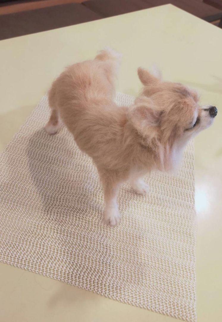 羊毛フェルト　ハンドメイド　犬　チワワ
