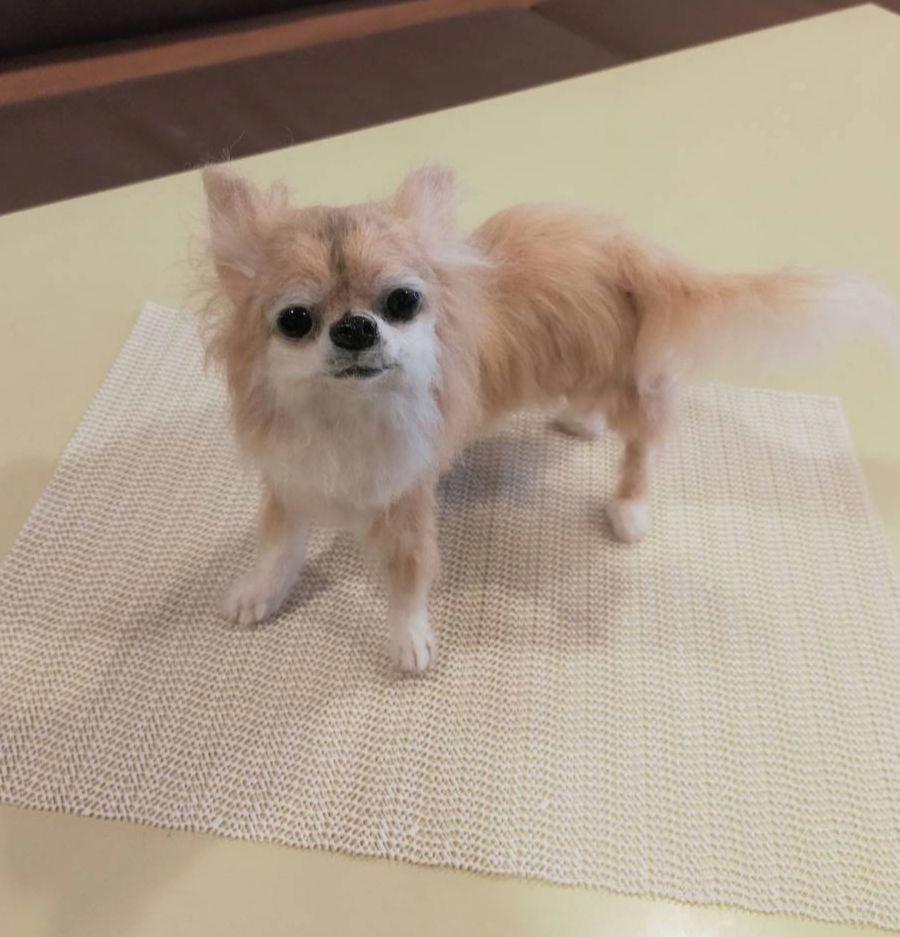 羊毛フェルト　ハンドメイド　犬　チワワ