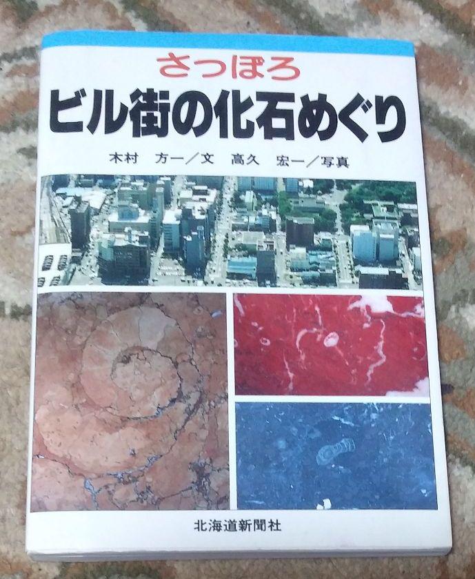 さっぽろビル街の化石めぐり