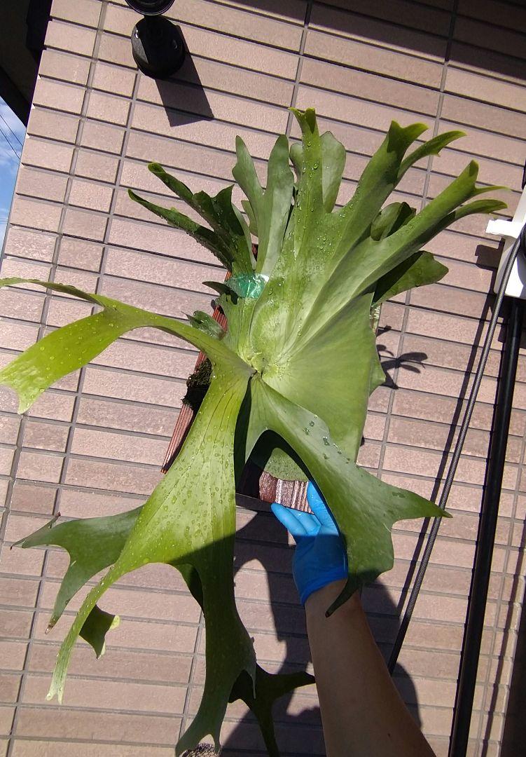 画像更新