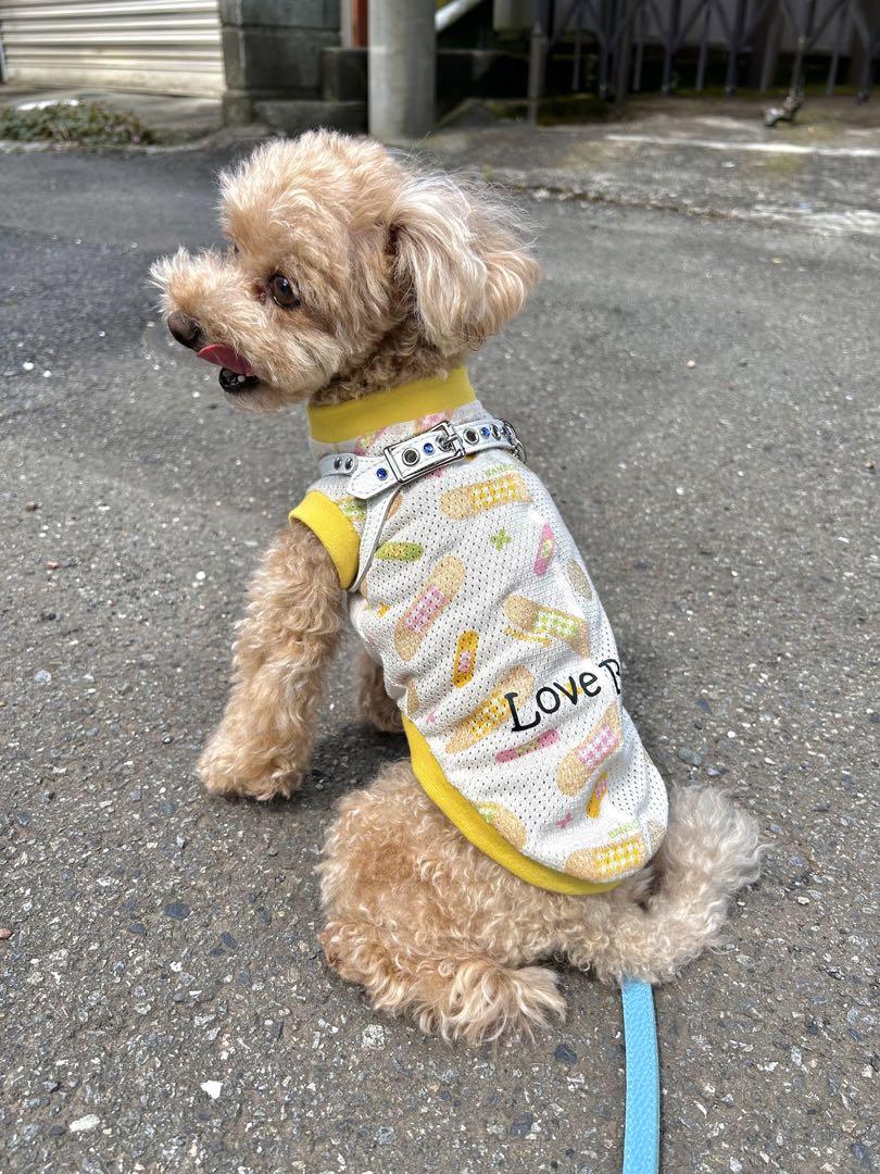 犬服 キラキラばんそうこう×メッシュ Sサイズ 伸縮性とてもいい オーダー可 画像5