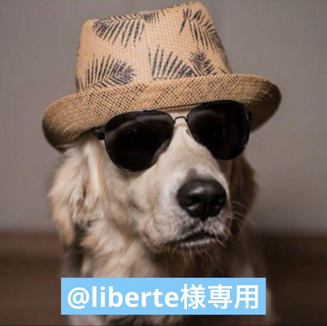 その他 @liberte