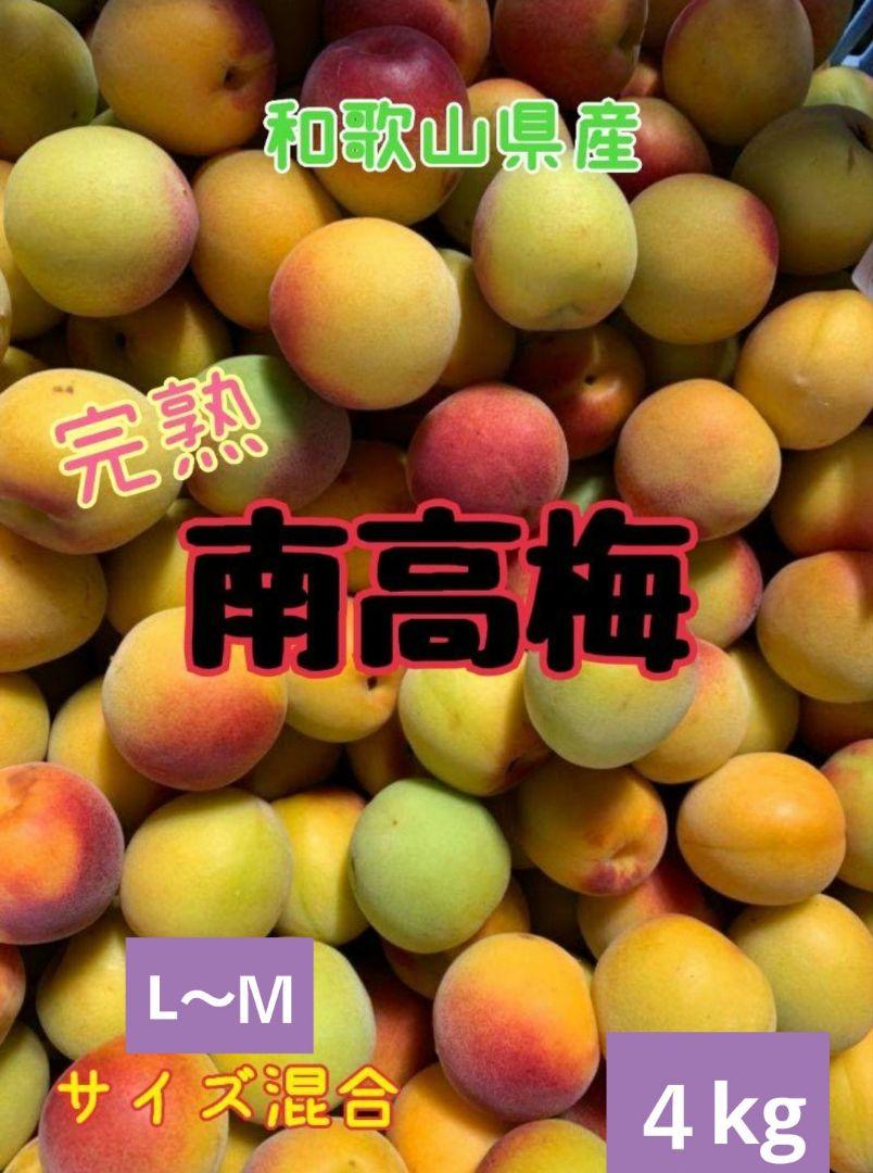 和歌山県産　完熟南高梅‼️L～Ｍサイズ混合‼️４kg　みかんキング