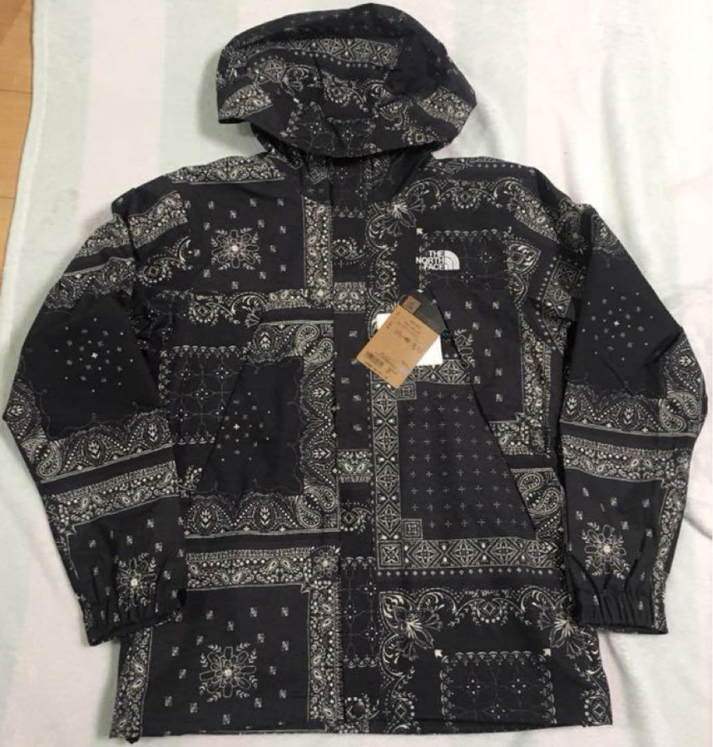 Novelty Scoop Jacket スクープ ジャケット ノースフェイス