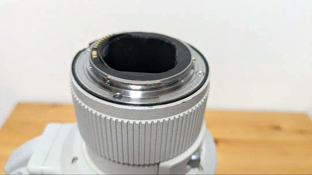 Canon EF500mm F4L IS USM