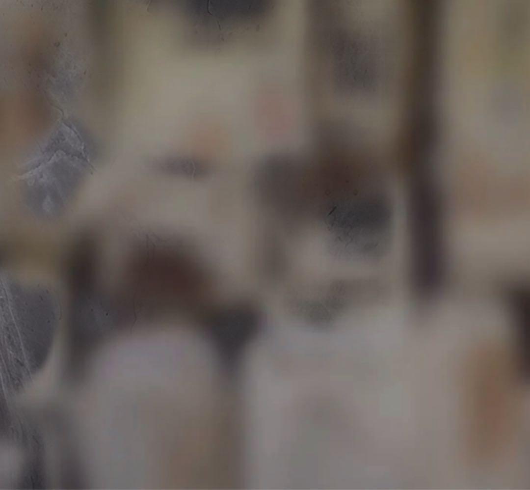 ⚠️!!超特級クラス!!⚠️ 超呪物 曰く付き 効果絶大 歴代最高峰 霊符