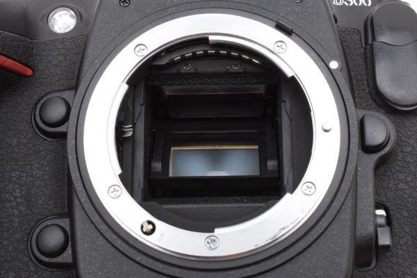 ✨極美品 Nikon D300　デジタル一眼レフ　防湿庫管理 ＃N024 ✨