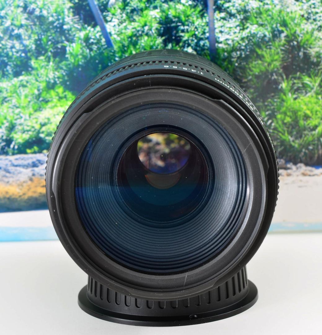 望遠はここから！Canon　EF90-300mm F4.5-5.6 キヤノン#9