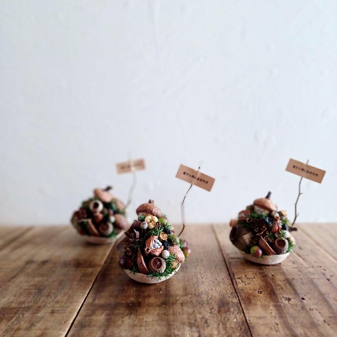 魔女の棲む森 365日のクリスマスツリー ドライフラワー リース テーブルツリー 魔女の棲む森 365日のクリスマスツリー ドライフラワー リース テーブルツリー