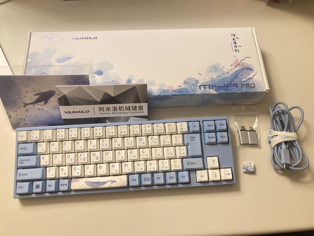 [美品]海の音色 銀軸 65% アミロxDuckyコラボ限定品 製造終了品