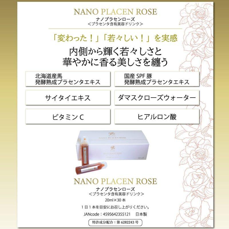 NANO PLACEN
