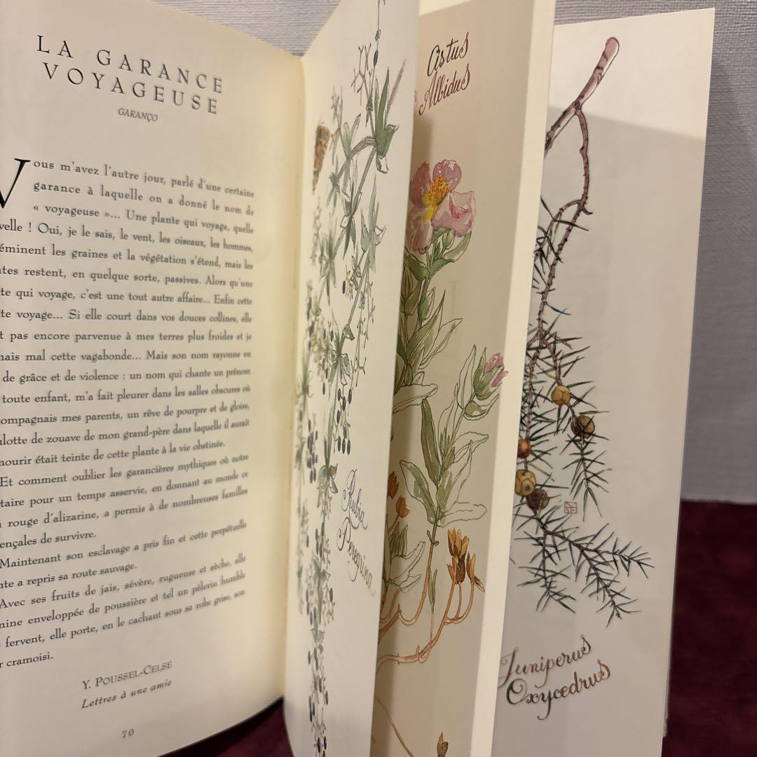 ❤️あき 612⑦人気希少フランスのハーブ洋書　古書　植物画　水彩画集