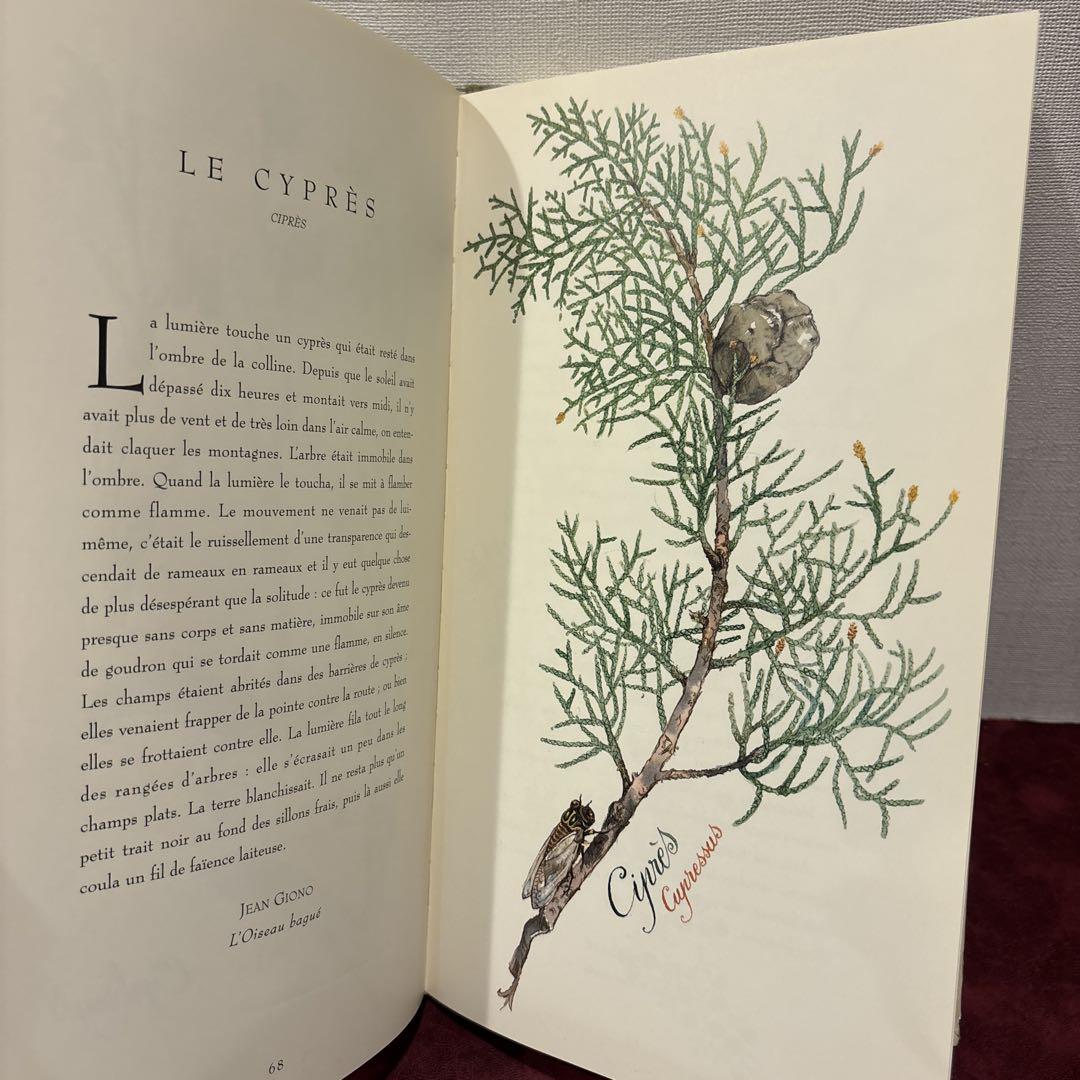 ❤️あき 612⑦人気希少フランスのハーブ洋書　古書　植物画　水彩画集
