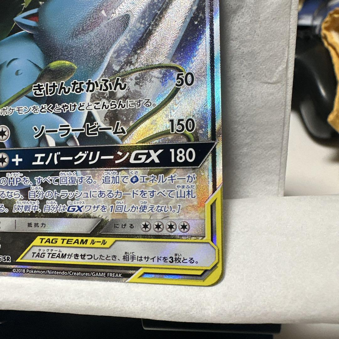 セレビィ&フシギバナGX SA