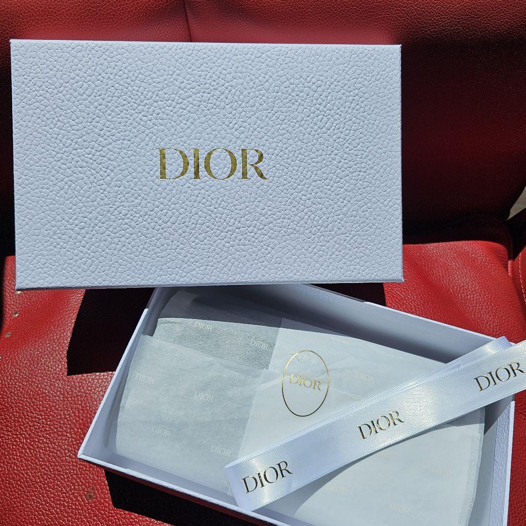 Dior Saddle ロングウォレット グレインカーフスキン