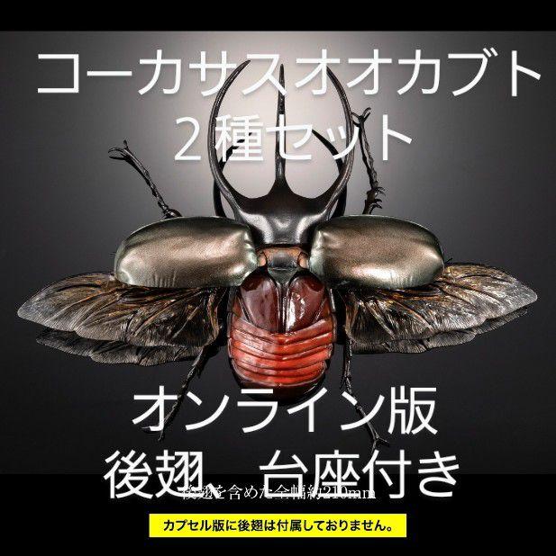 全国送料無料ギフト いきもの大図鑑アドバンス オンライン版 コーカサスオオカブト その他