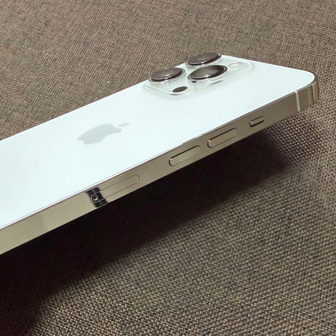 1TB シルバーSIMフリーApple