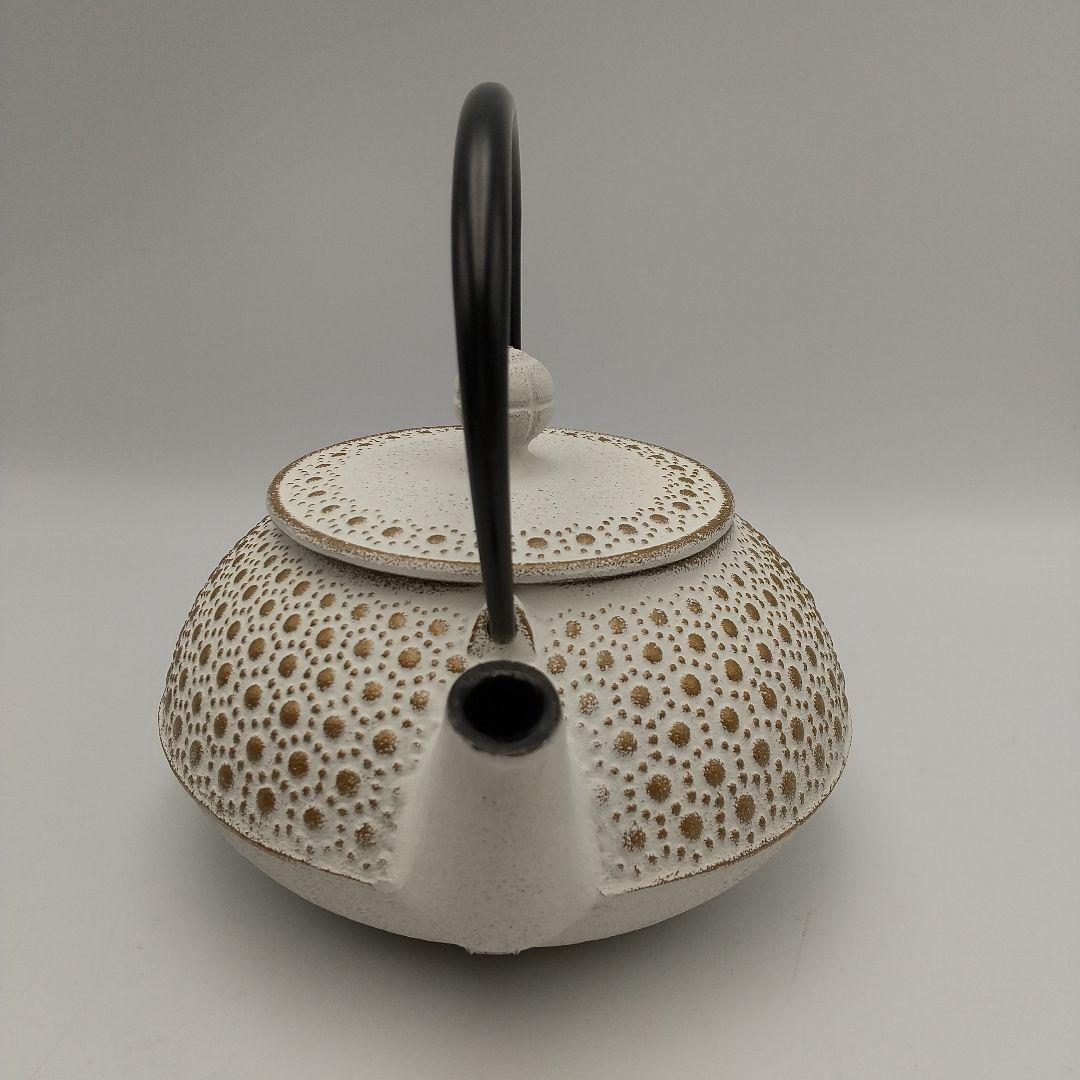 未使用】岩鋳 アンシャンテジャポン 南部鉄器カラーポット