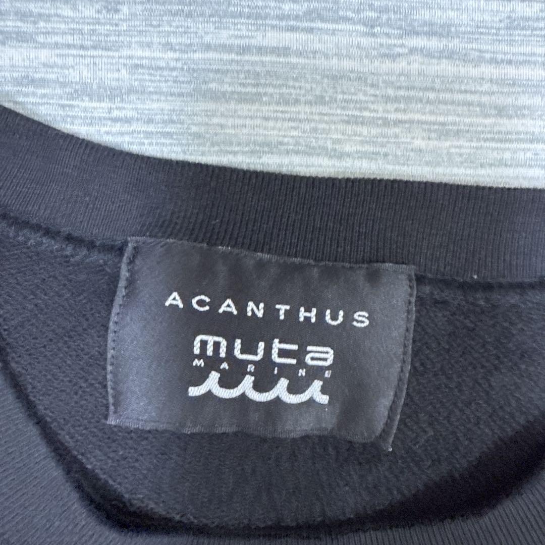 美品　新品muta marine×ACANTHUS ロゴ プルオーバートレーナー