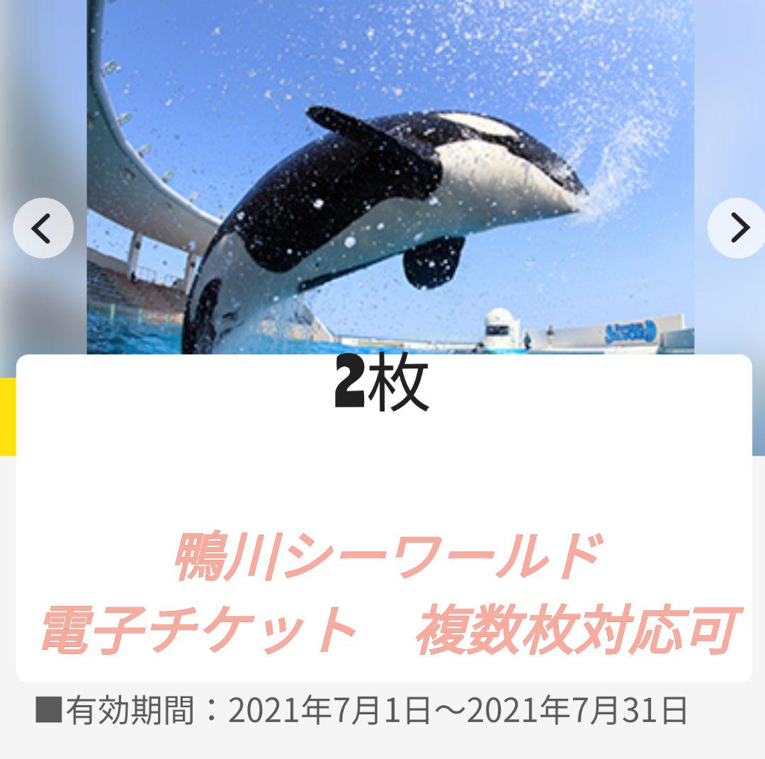 半額sale 鴨川シーワールド電子チケット4枚入場券入園券入館券 水族館 Labelians Fr