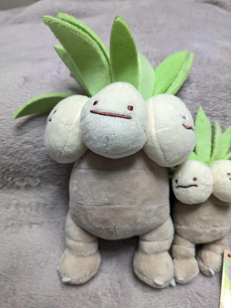 ◈ ポケモンセンター