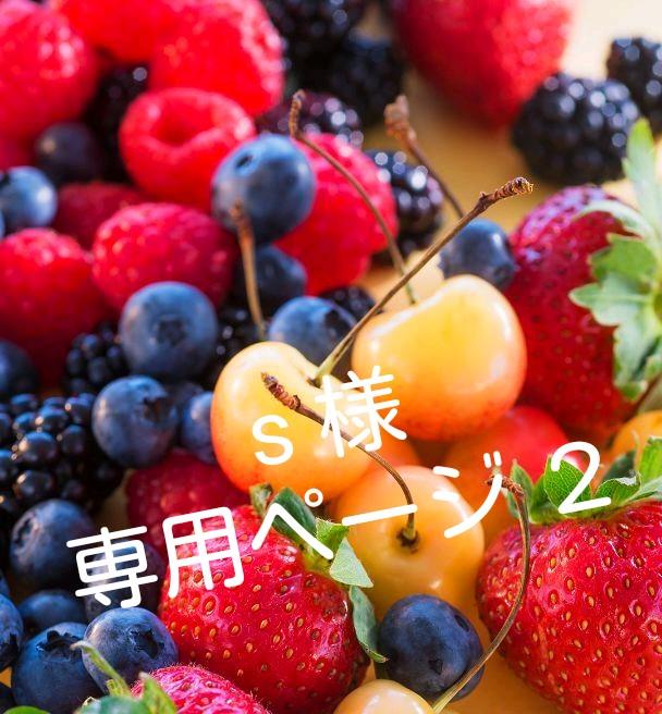 s 様 専用ページ2