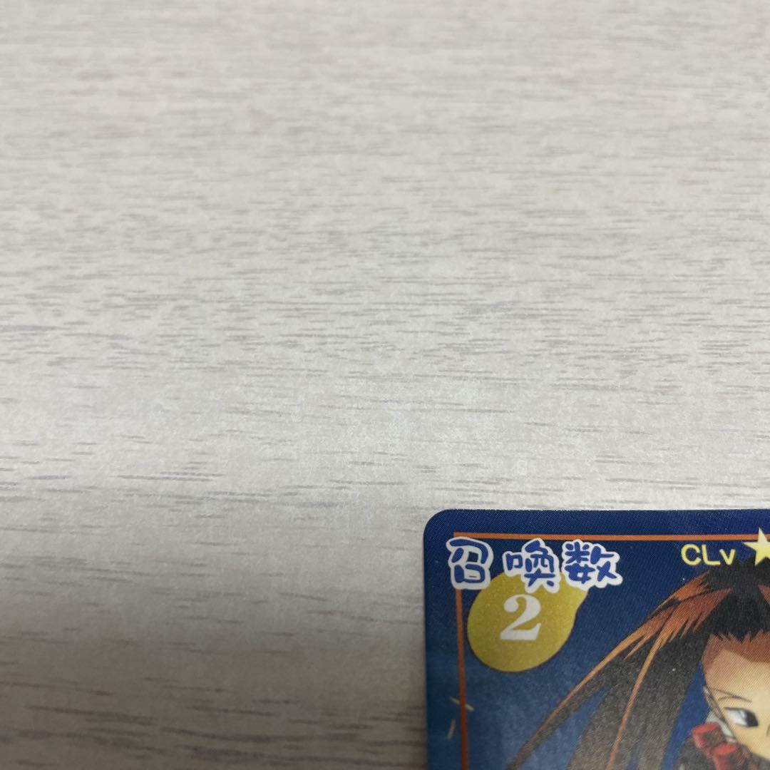 シャーマンキング　ハオ