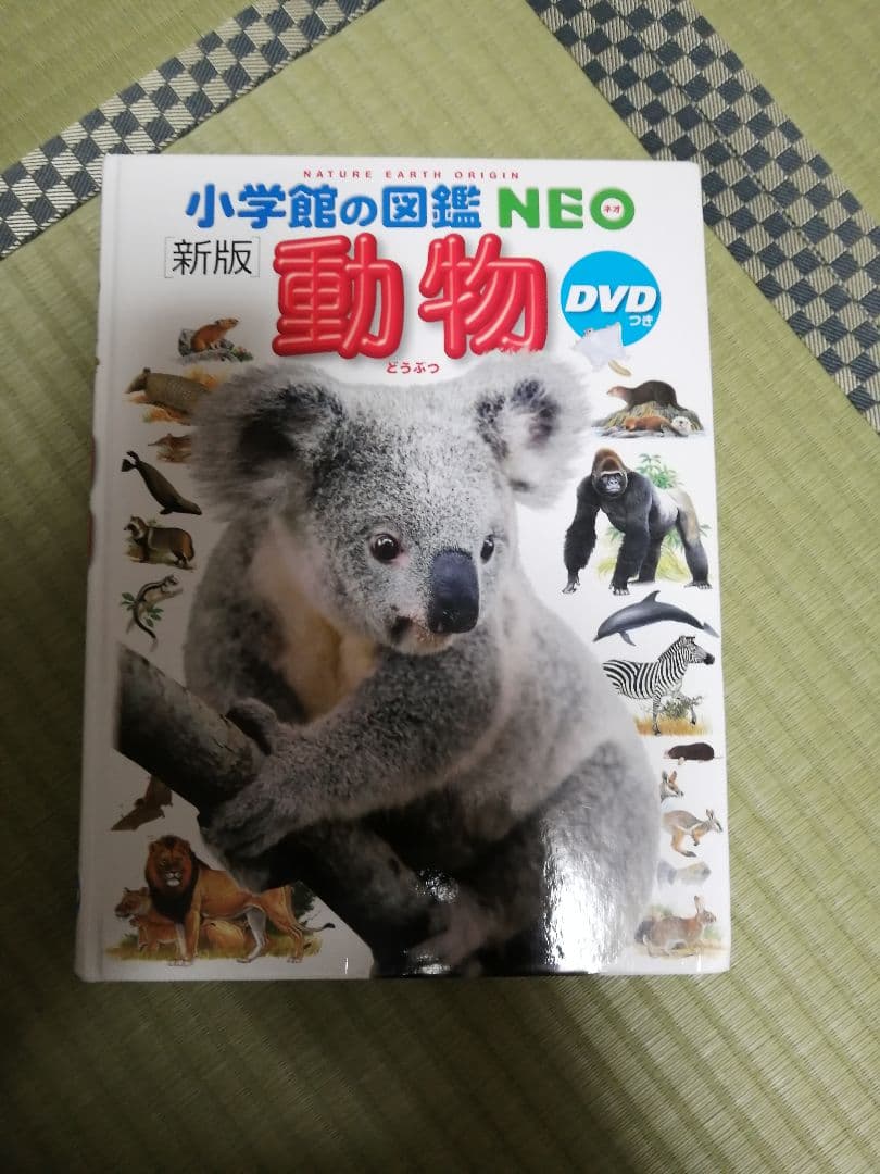 小学館の図鑑neo 動物 Dvd付き Alcosafeparking Org 小学館の図鑑neo 動物 Dvd付き Alcosafeparking Org