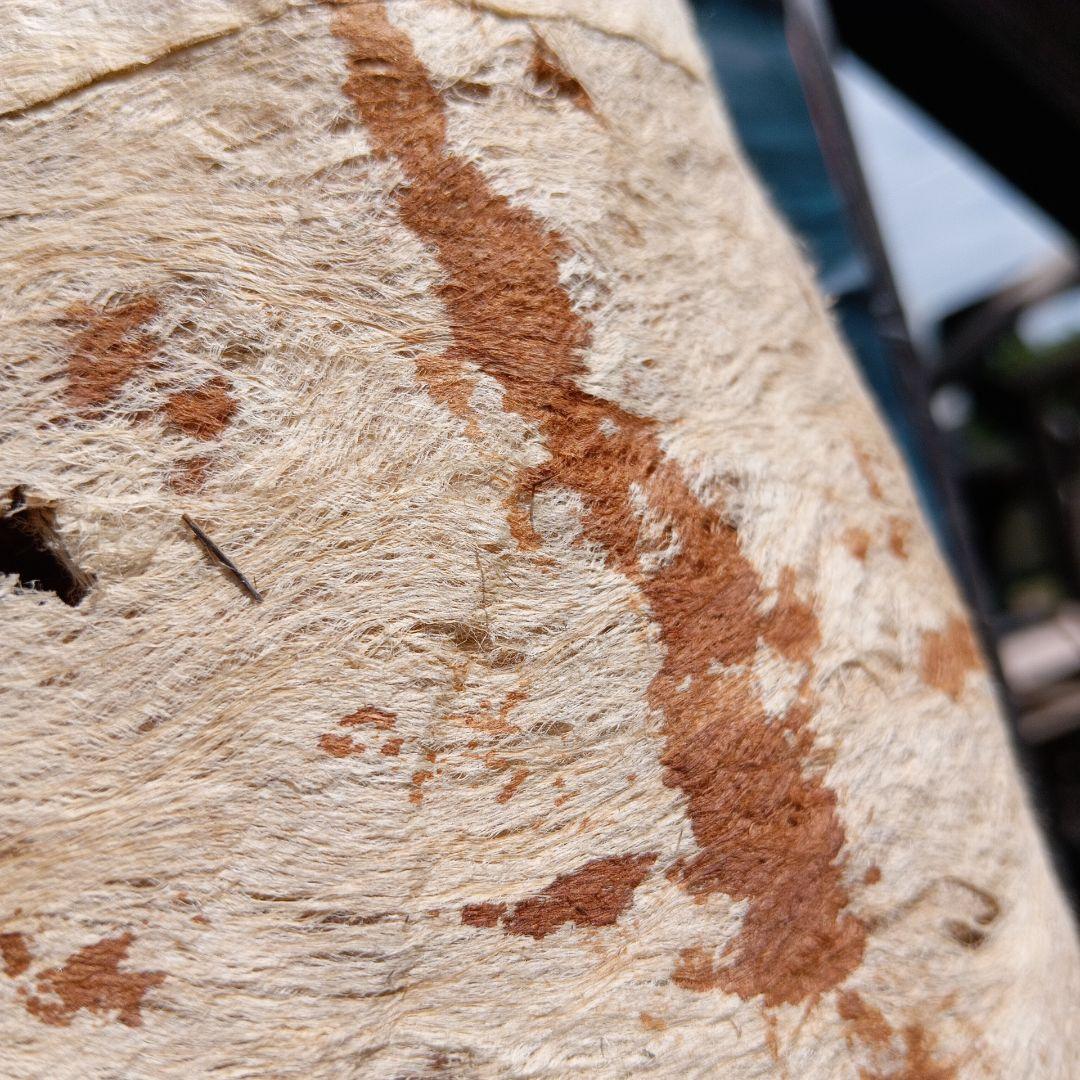 伝統的な木の皮