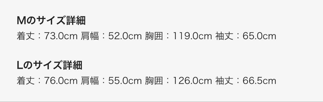 早い者勝ち価格✴︎【新品未使用】ADERERROR スウェット　トレーナー