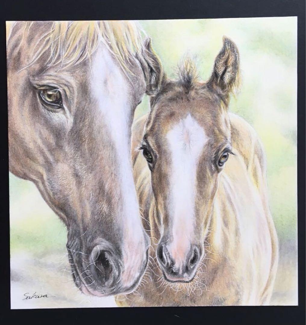 色鉛筆画 原画 メイケイエール 手描き イラスト No.50 馬 母馬と仔馬 色鉛筆画（フレーム付き） 手描きイラスト 一点物 馬