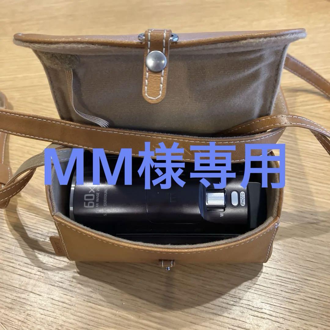 SONY HDR-PJ670【バッテリー2コ、ケース&ストラップ付き】