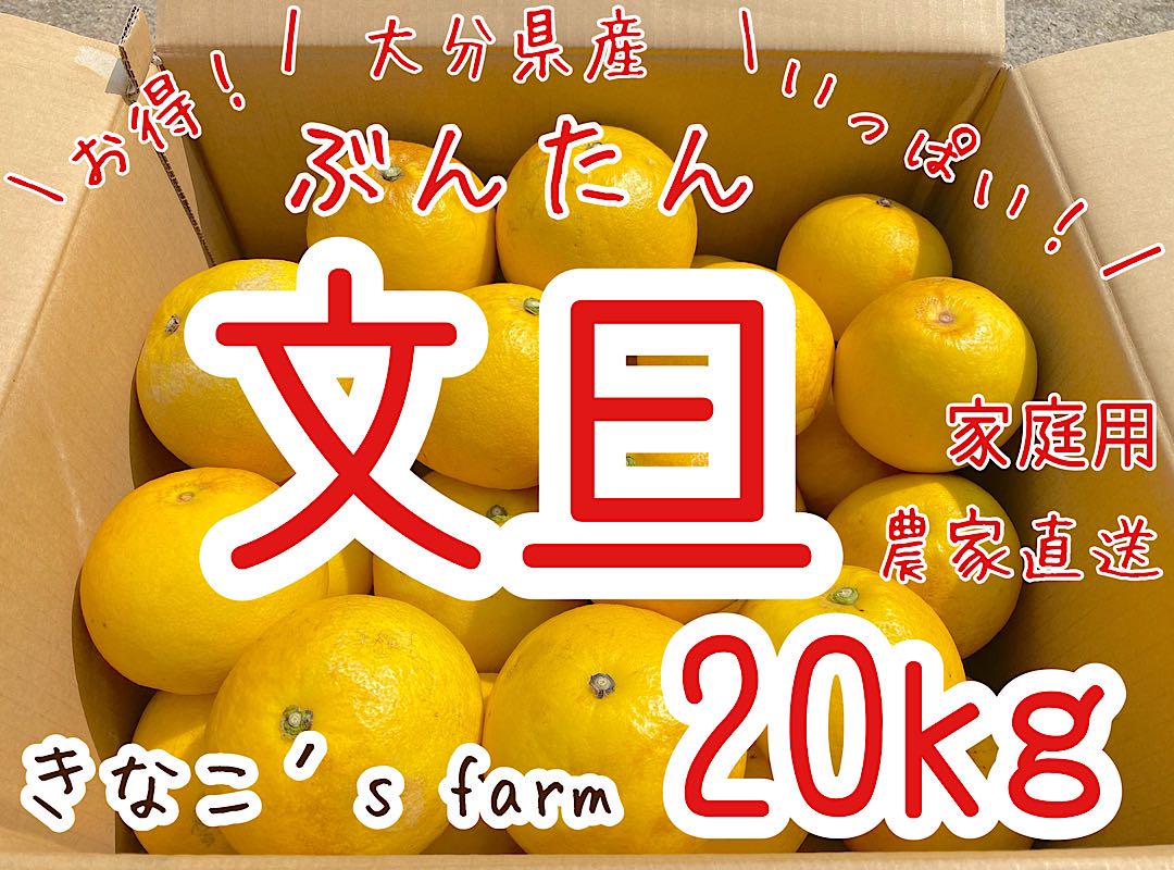 大分県産 文旦 20kg 家庭用 大分県産 文旦 20kg 家庭用一 番 安い